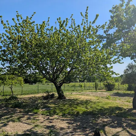 Huchat Saint-Aignan (Gironde)